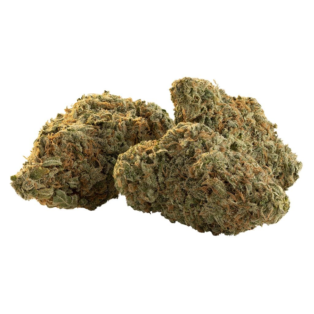 Trailblazer - Flicker Buds - Image 4