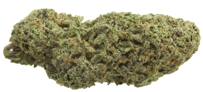 1964 - Organic Sour Cookies - Image 3