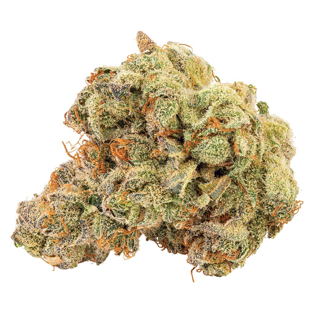 Big Bag O Buds - Orange Apricot - Image 2
