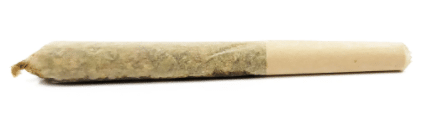 General Admission - Tropic GSC Infused Pre-Roll - Image 4