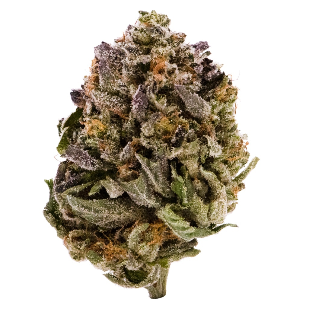 Canna Farms - Pink Kush - Image 2