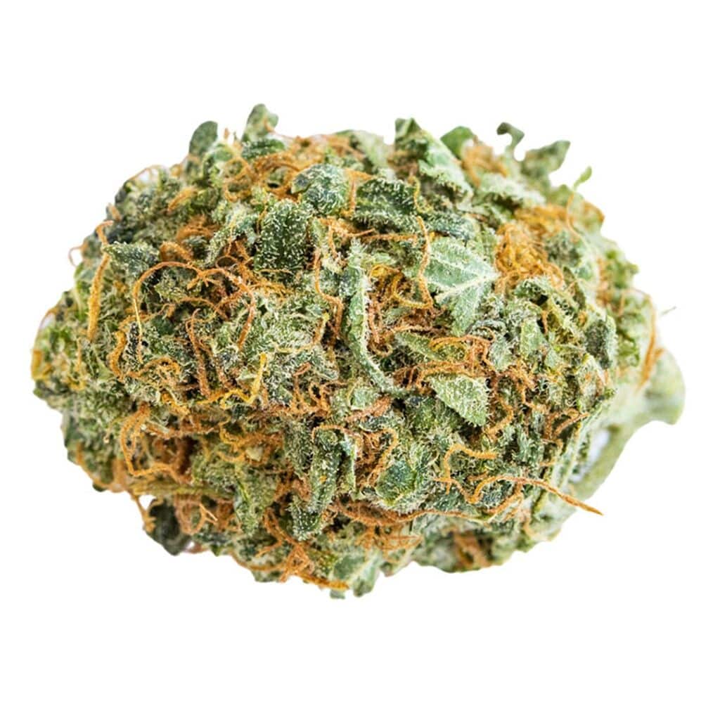 SKOSHA - Lemon Dory