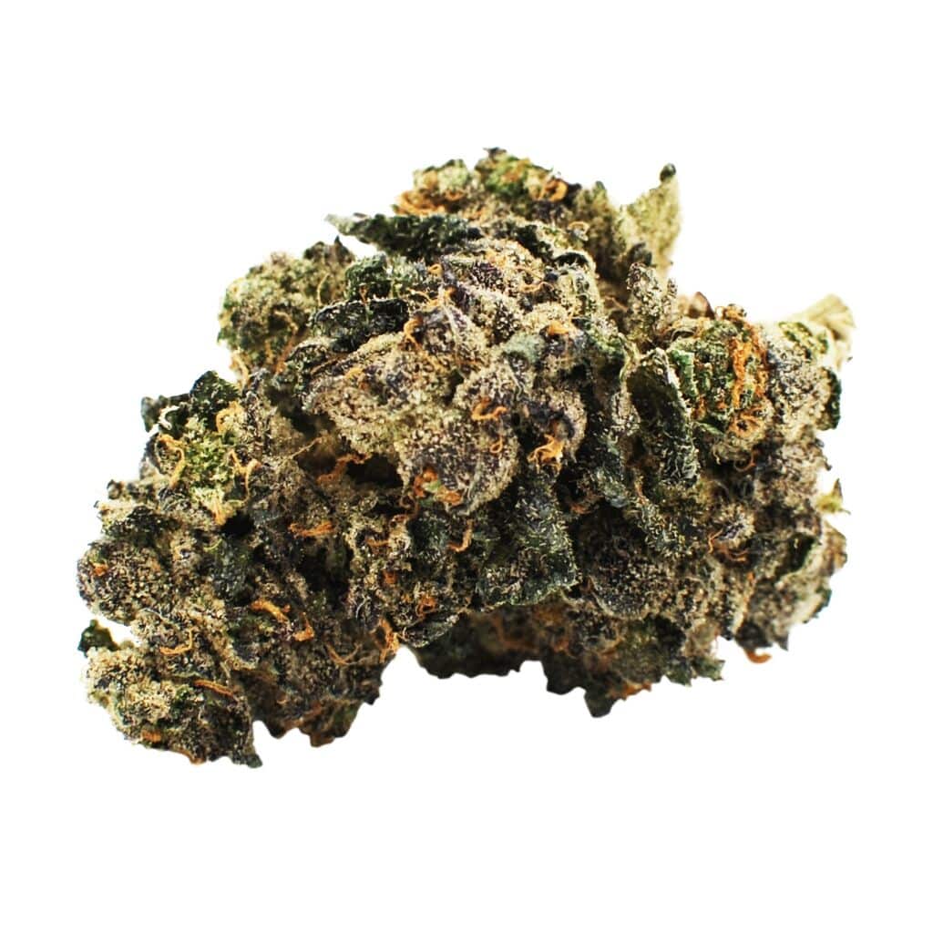 Citizen Stash - Sunset Sherbet - Image 2