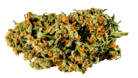Redecan - Warlock
