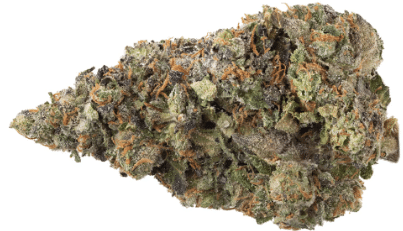 Simply Bare - BC Organic White Rntz