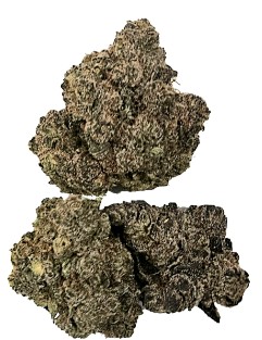 Buzz'd - Honey OG Hybrid 3.5g