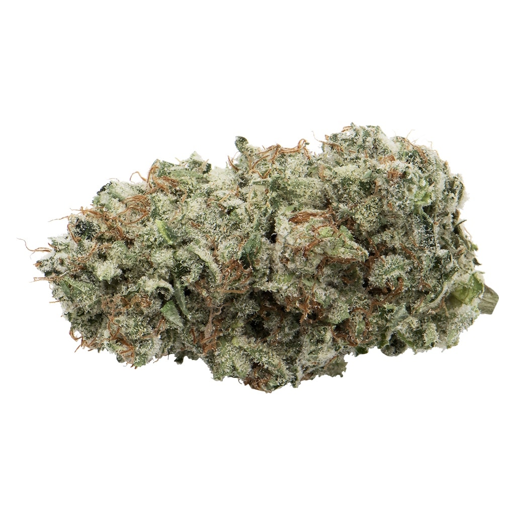 Greybeard - Afghani Drifter - Image 3