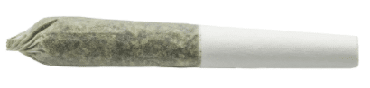 Tommy's Dosi Punch Pre-Rolls - Image 2