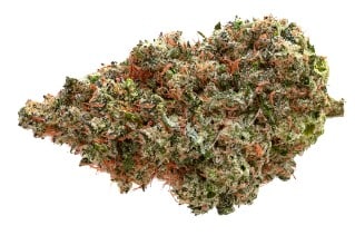Pure Sunfarms - Neon Lambo Indica 3.5g