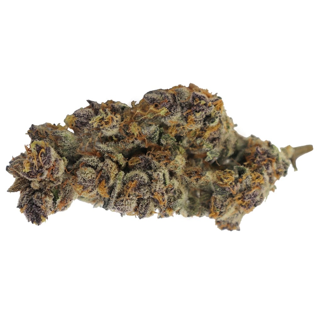 ELIOS RESERVE - PURPLE PUG