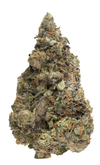 Simply Bare - BC Organic Zookies Hybrid 3.5g - Image 2