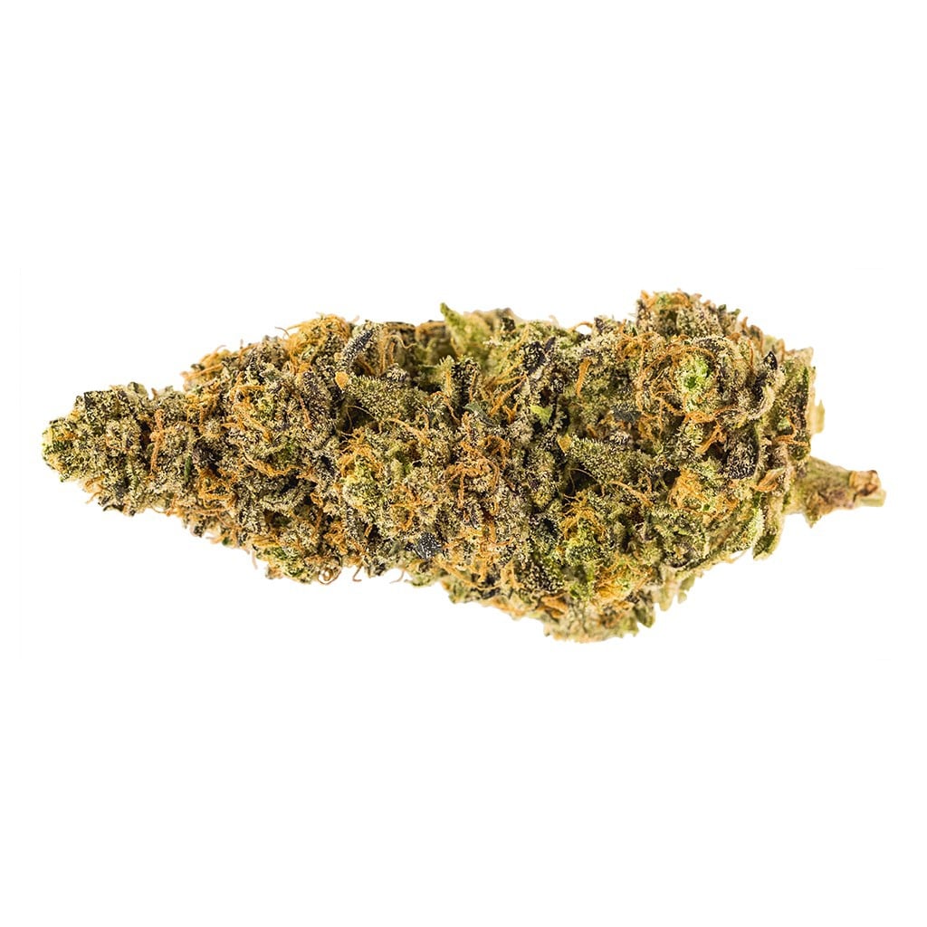 Carmel - Garlic Breath - Image 2