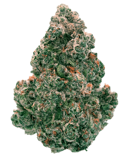 Back Forty - Liquid Imagination Hybrid 28g - Image 2
