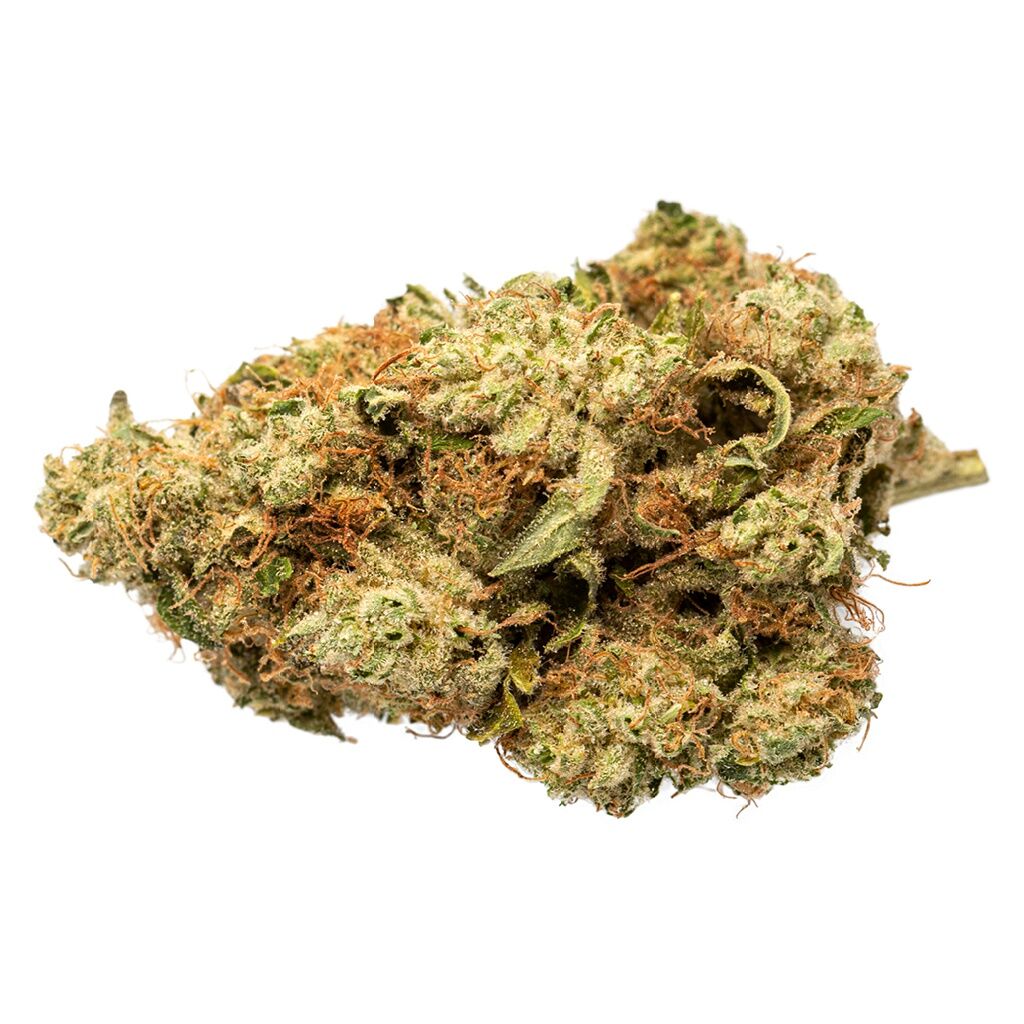 Grasslands - Indica - Image 3