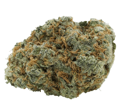 GreenSeal - Citrus Skunk