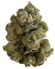 Castle Rock Farms Inc. - HGH