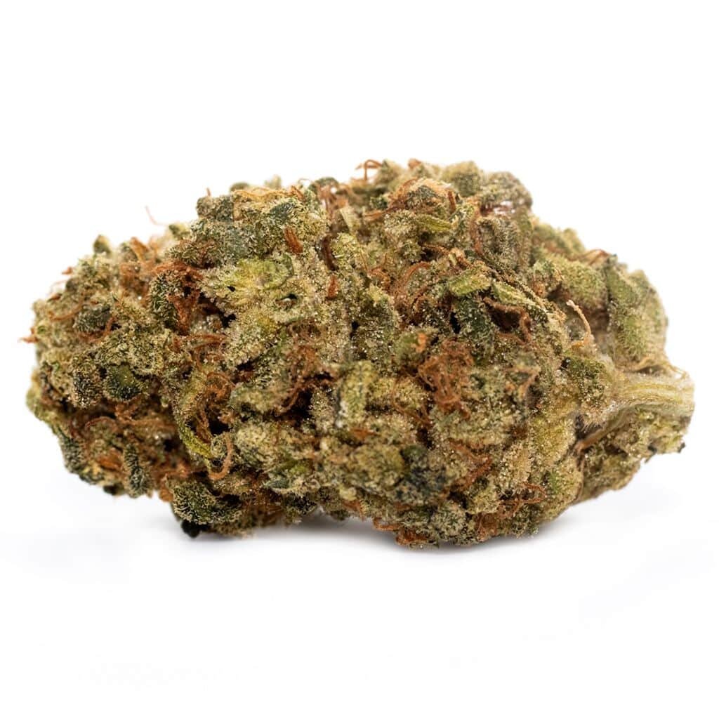 Reef Organic - High Seas - Image 2