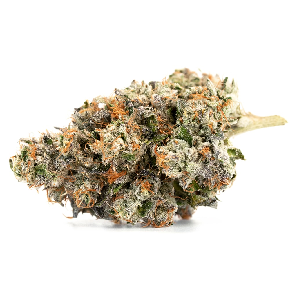 Organnicraft - Organnicraft Nitro Cookies
