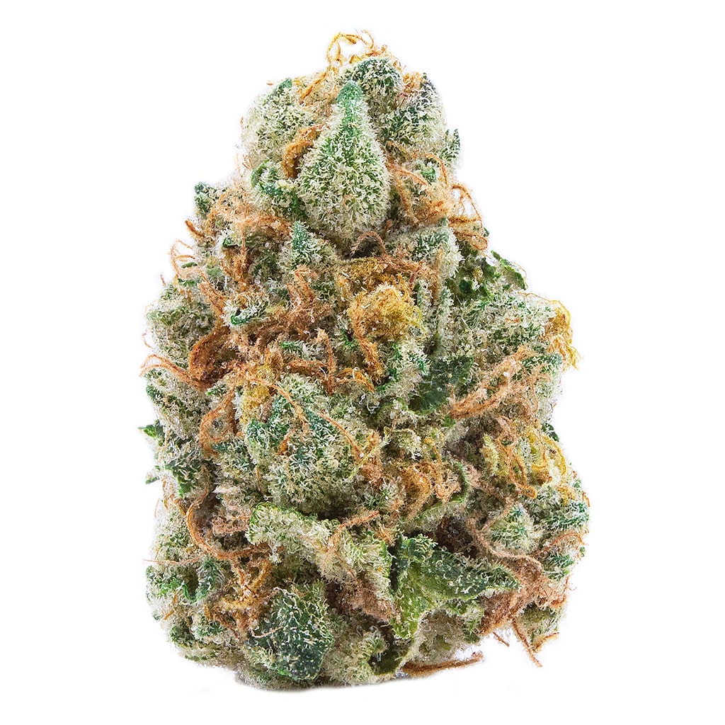 Spinach - GMO Cookies