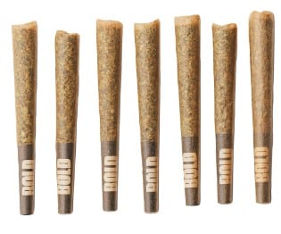 BOLD Growth - Root Beer Float Pre-Rolls - Image 2