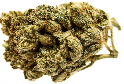 Potluck - Banana Cream