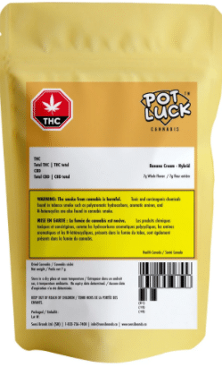 Potluck - Banana Cream - Image 2