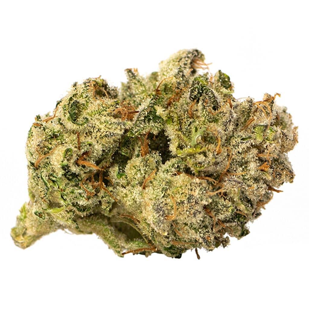 Robinsons - GG #4 - Image 2