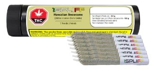 1Spliff - Hawaiian Snowcone Pre-roll Sativa 7x0.5g