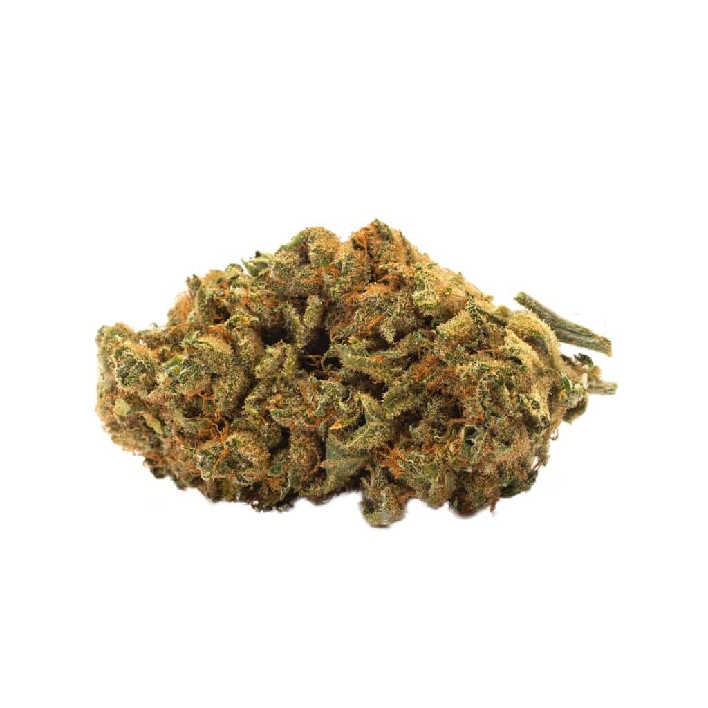 TWD. - Indica - Image 3