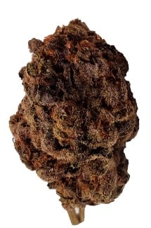 Dime Bag - Purple Poison Smalls Indica 28g