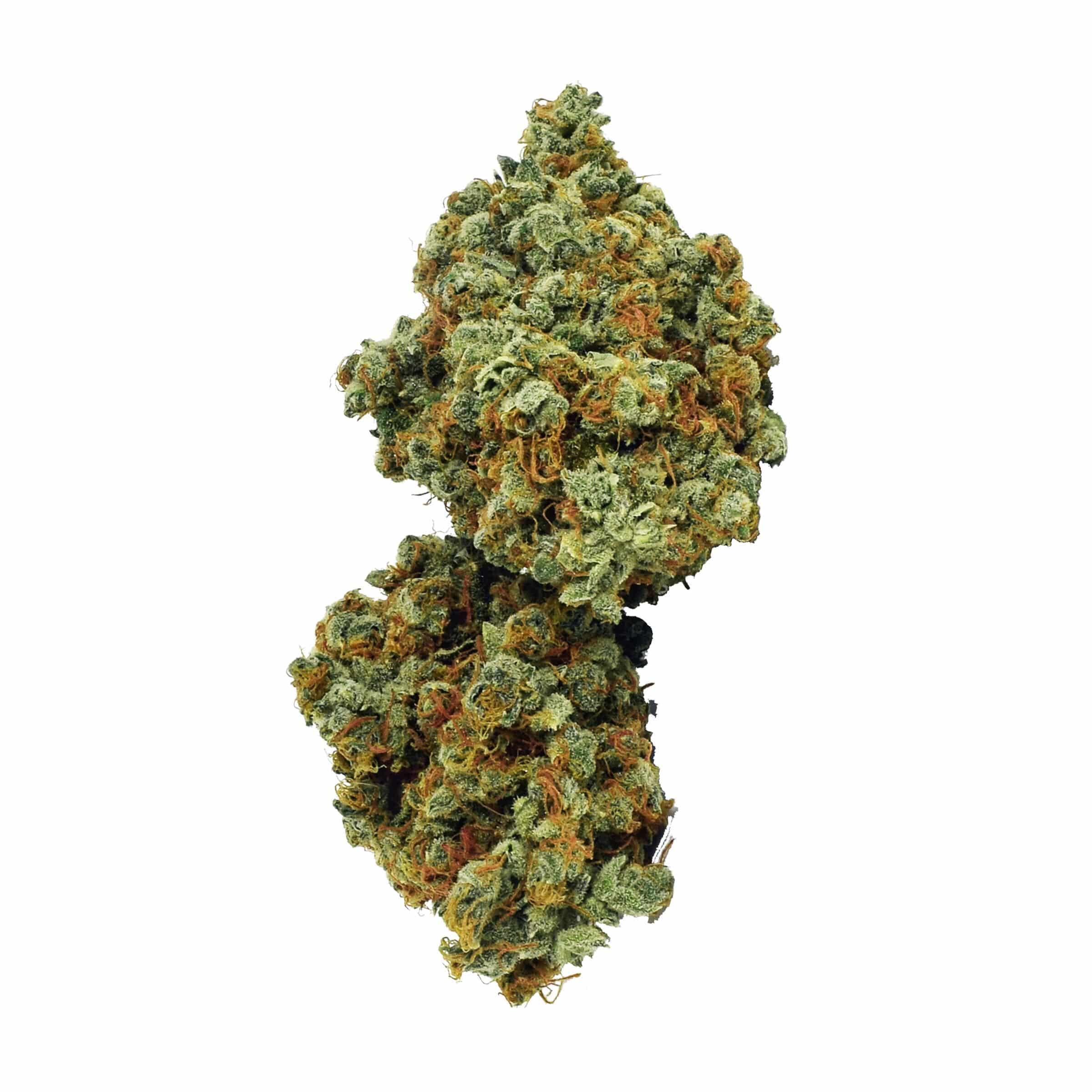 Broken Coast - Galiano - Image 4