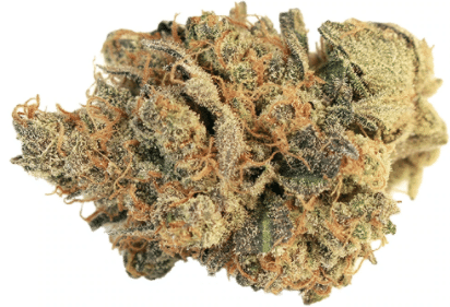 WAGNERS - Pink Bubba