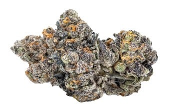 Sixty Seven Sins - Gas Face Indica 14g