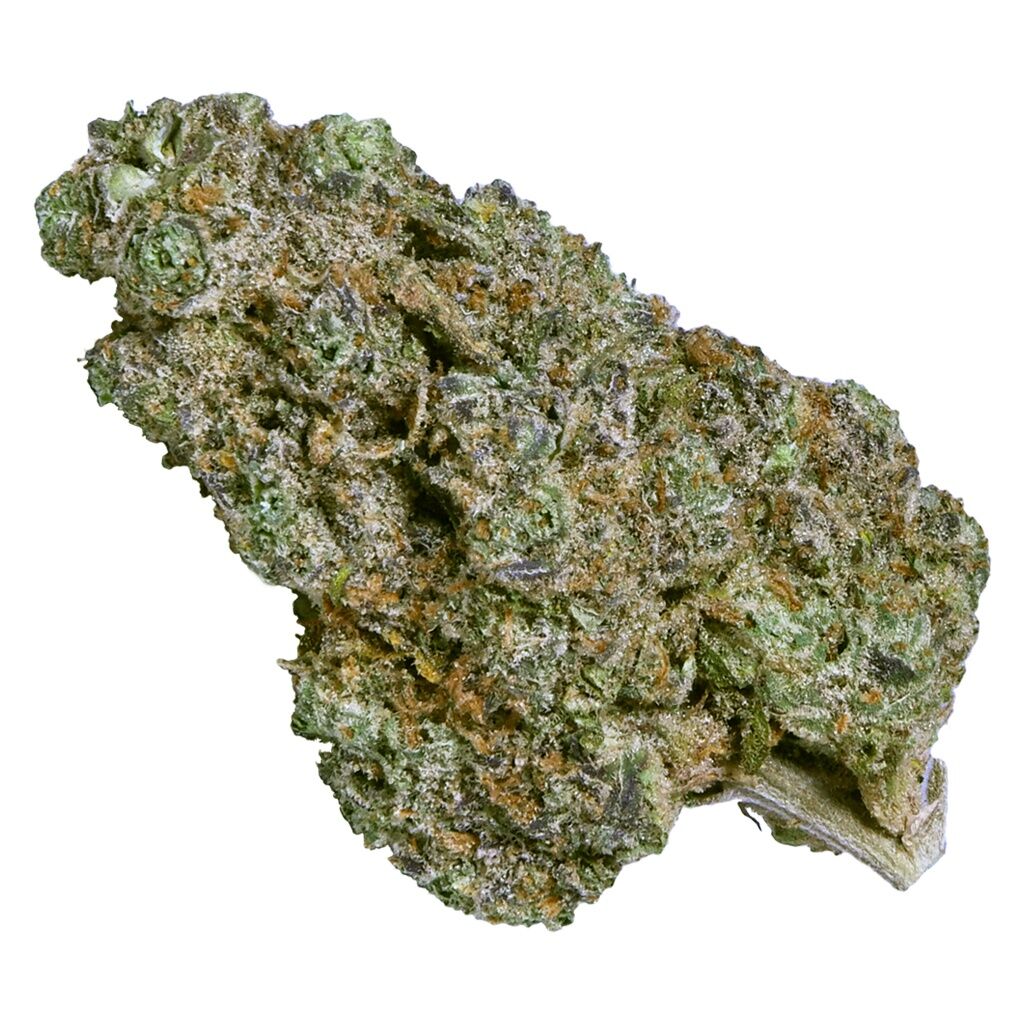 ecotone - Hero Bud - Image 2
