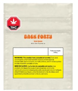 Back Forty - Tiki Tang Disposable Pen Hyrbid 0.95g - Image 2