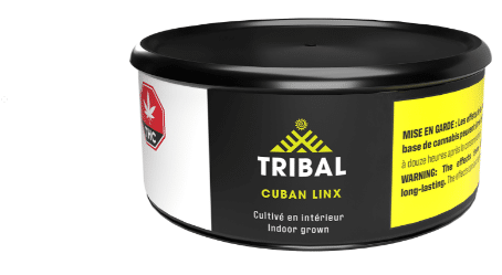 Tribal - Cuban Linx Sativa 3.5g