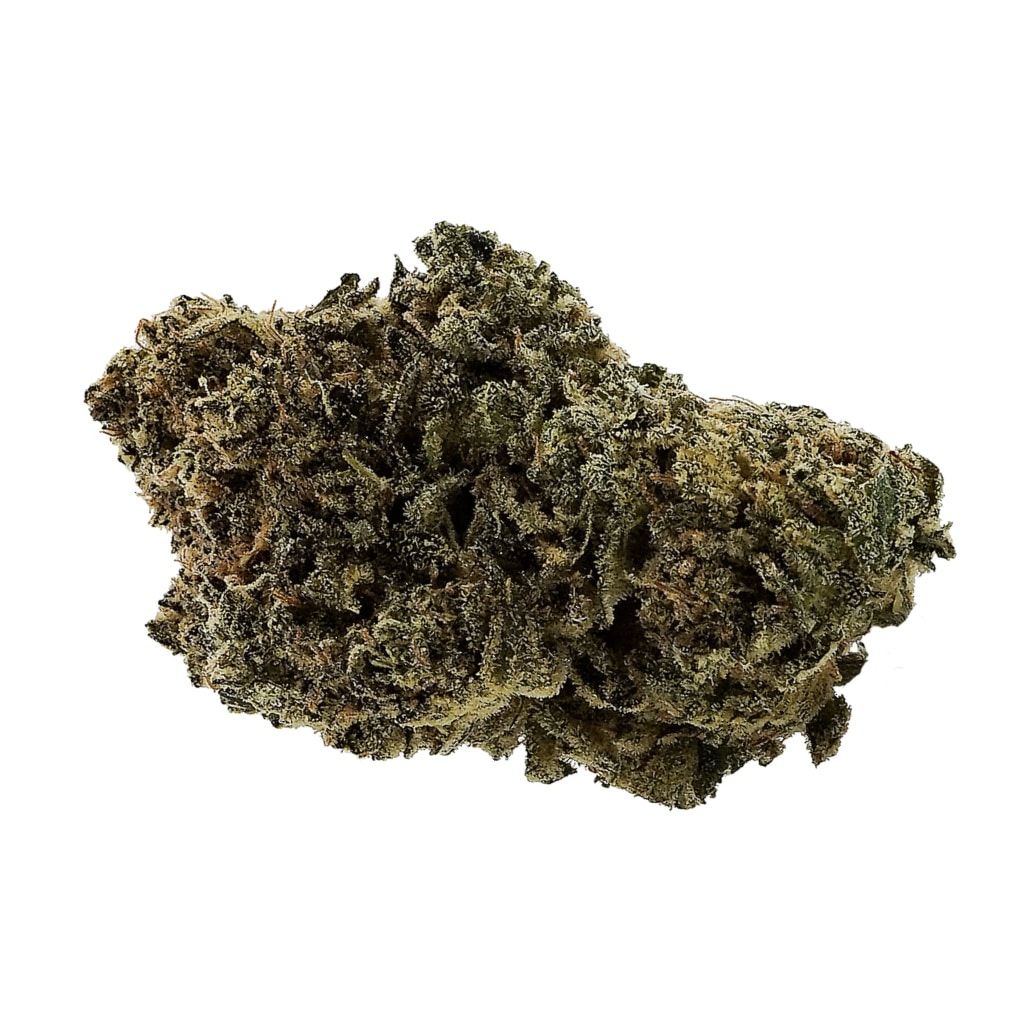 Sugarbud - Mule Fuel - Image 2