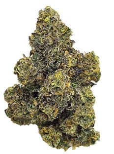 Unit 15 - Purple Octane Hybrid 7g