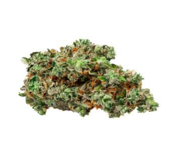 BOLD Growth - Root Beer Float - BOLD - Root Beer Float Indica 3.5g