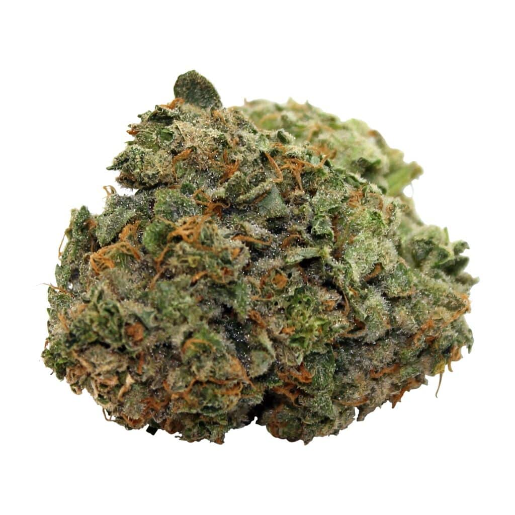 Steel City Green - Lemon Ziddy - Image 3