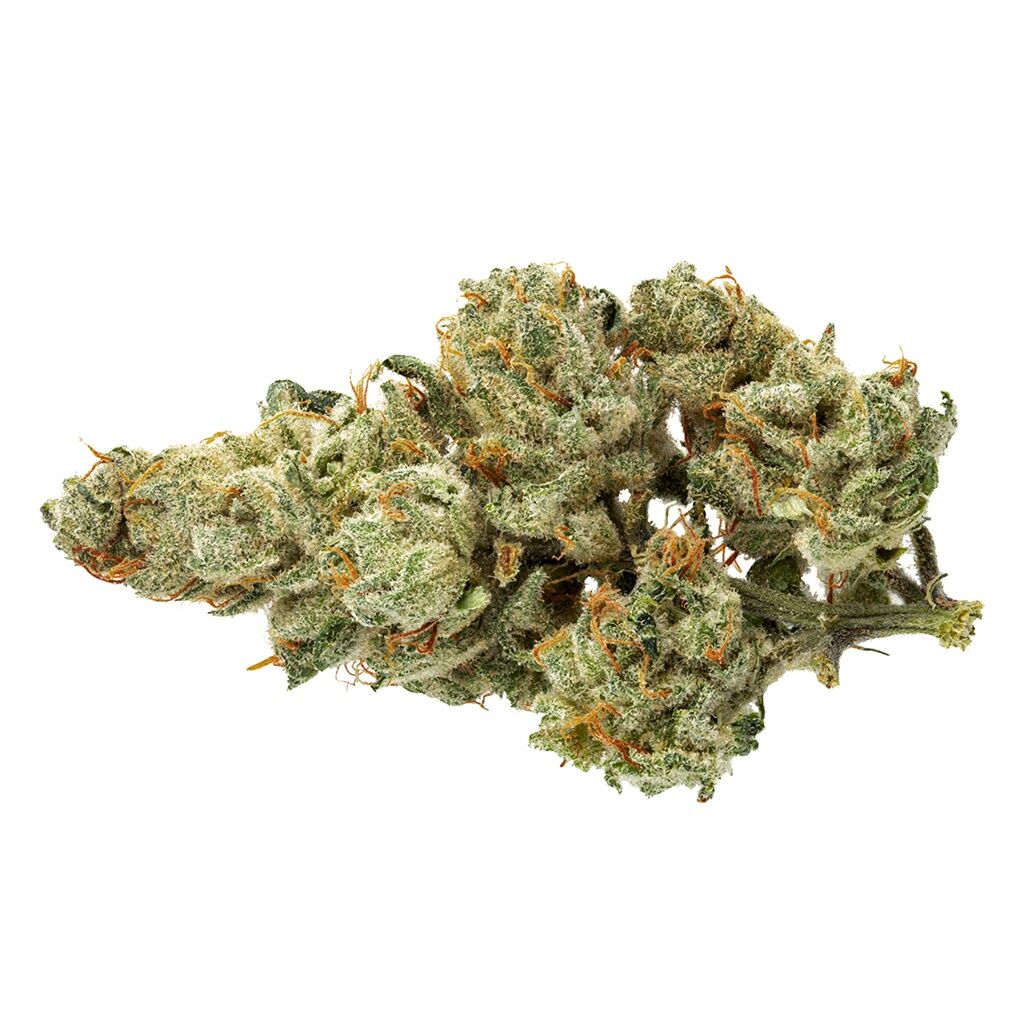 Top Leaf - Oregon Golden Goat