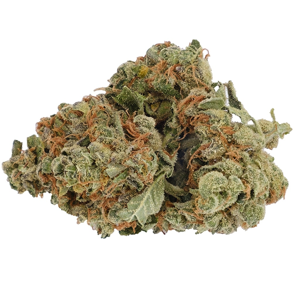 Back Forty - Pine Kush - Image 2
