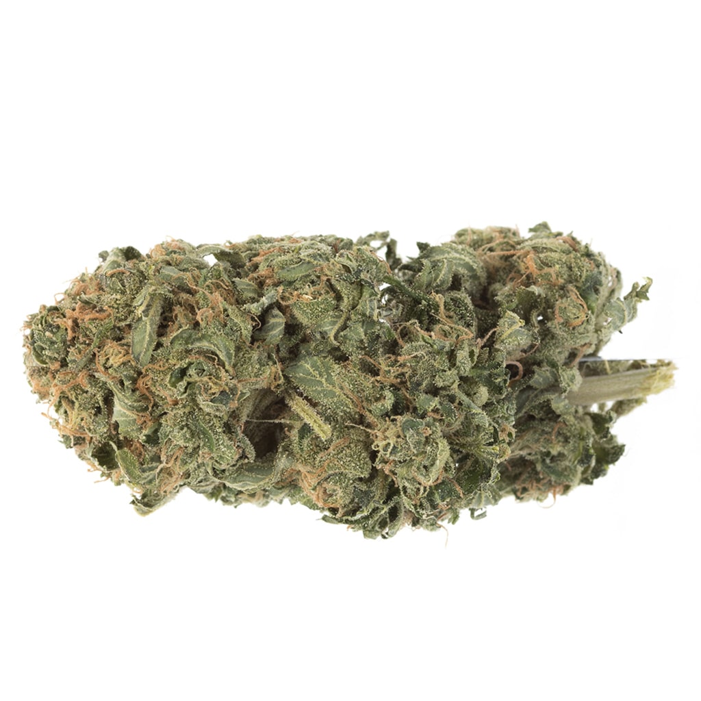 Station House - Ghost Train Haze - Image 2