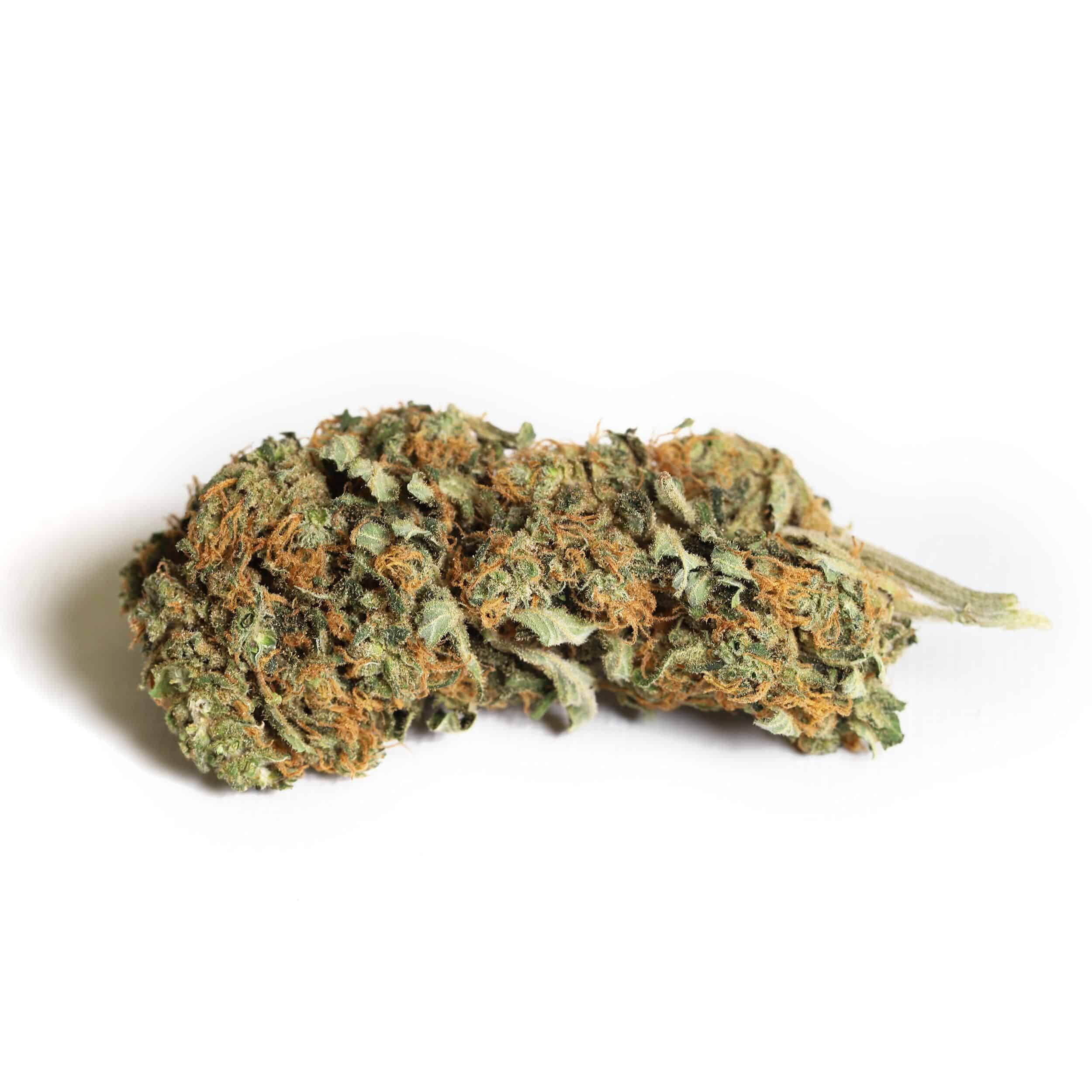 Kiwi Cannabis - Mango Haze - Image 3