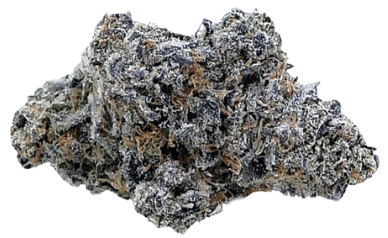 Strains Limited - RNTZ
