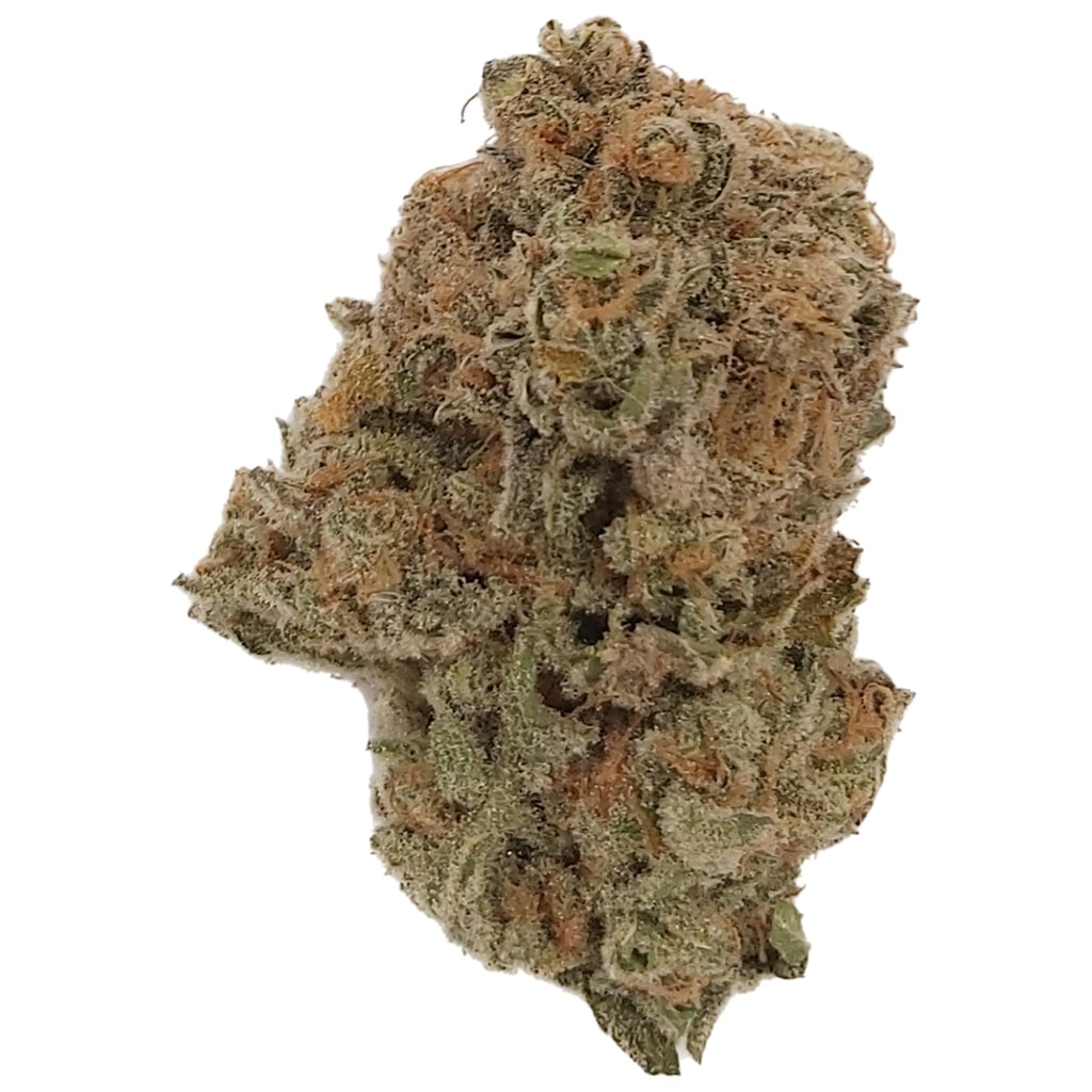 Dykstra Greenhouses - Lemon Pepper Spice - Image 2