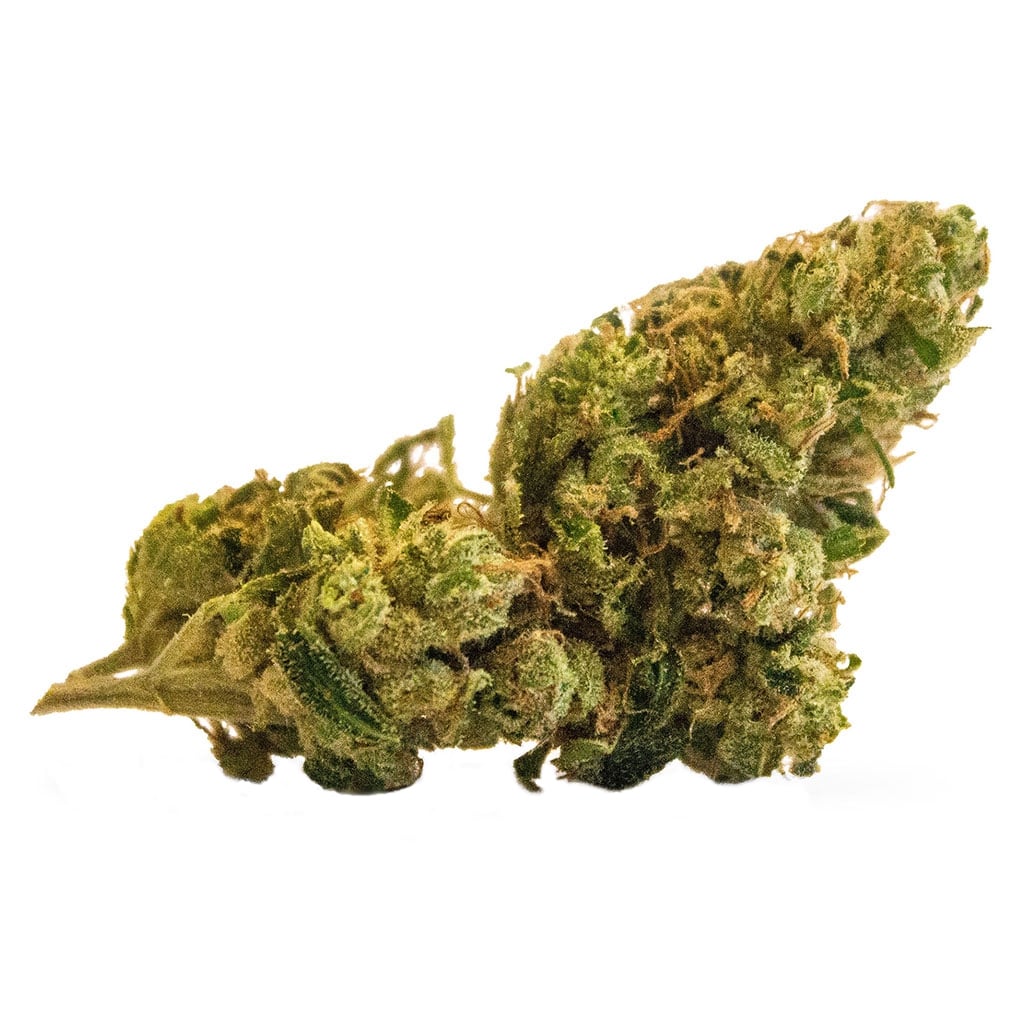 Verse Originals - BC God Bud - Image 2