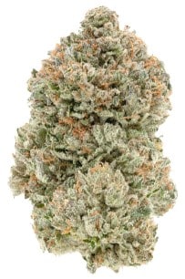 1964 - Stinky Pinky Indica 7g