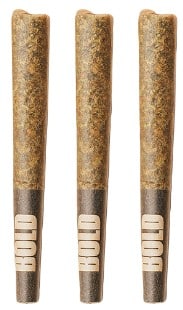 BOLD Growth - Root Beer Float Pre-Rolls - Image 3
