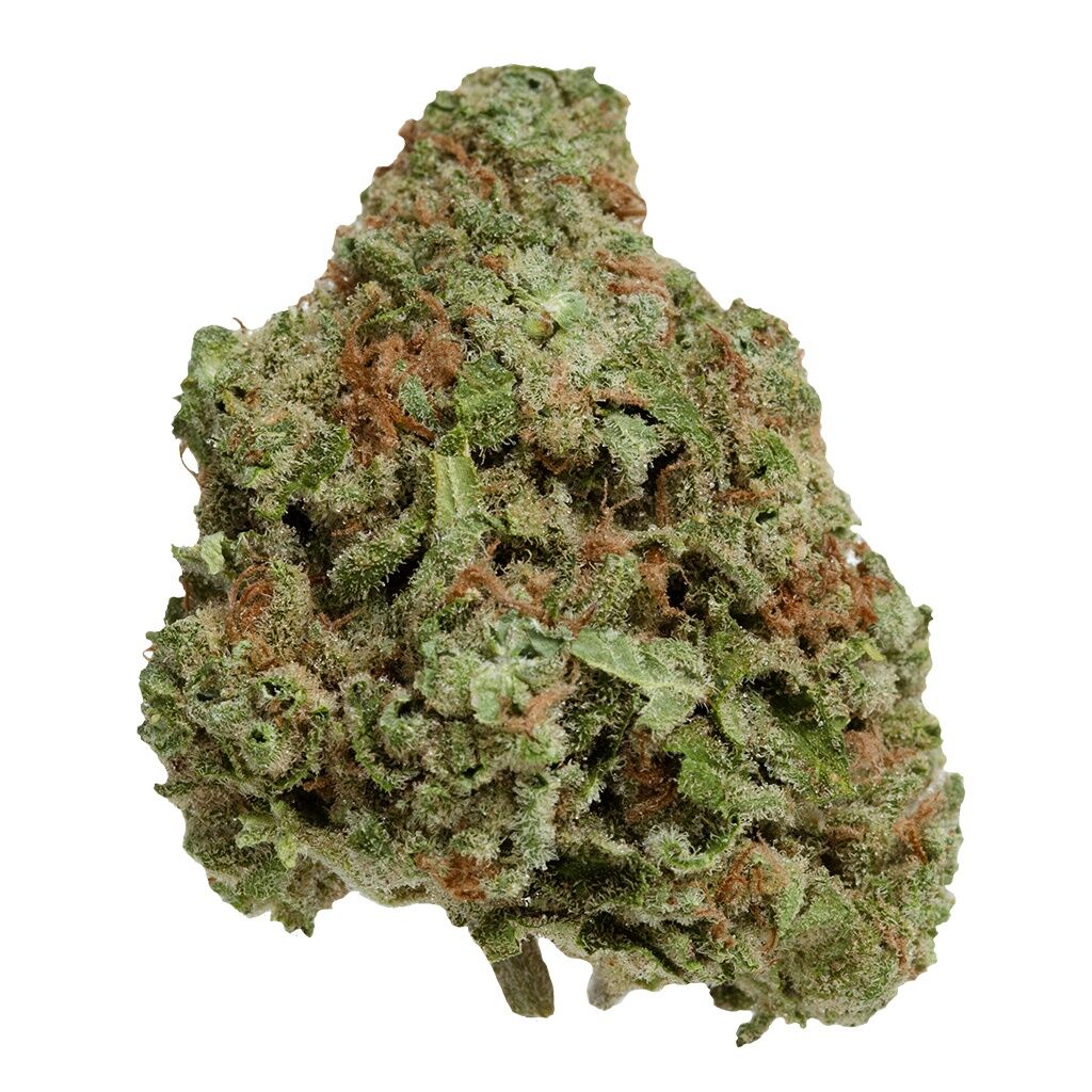 UP - Northern Berry UP20